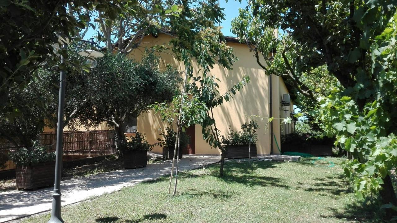 Agriturismo Il Casale Morrovalle Ngoại thất bức ảnh