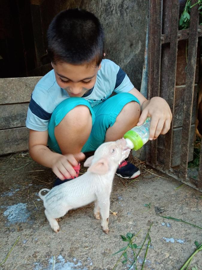 Agriturismo Il Casale Morrovalle Ngoại thất bức ảnh